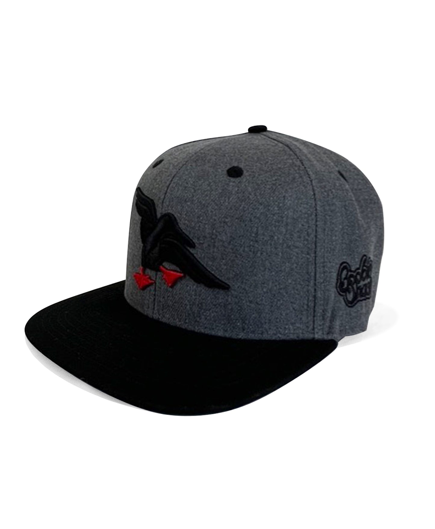 Soft Lines Snapback