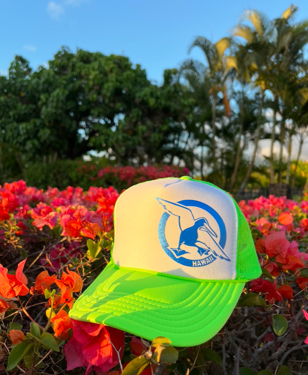 LimeGreen-color